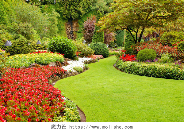 夏天绿意安然的小花园在春天中郁郁葱葱的花园